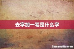 去字加一笔是什么字