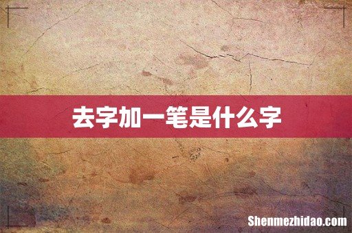 去字加一笔是什么字