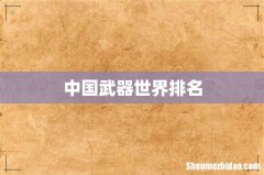 中国武器世界排名