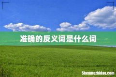 准确的反义词是什么词