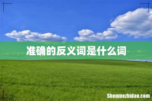 准确的反义词是什么词