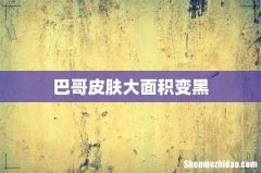 巴哥皮肤大面积变黑