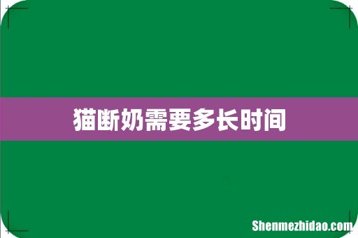 猫断奶需要多长时间