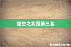 重生之我是第三者