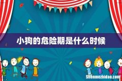 小狗的危险期是什么时候