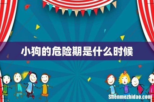小狗的危险期是什么时候