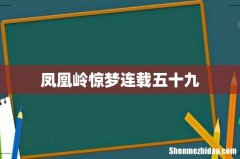 凤凰岭惊梦连载五十九