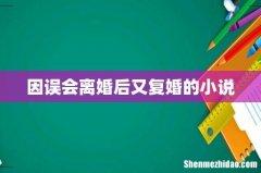 因误会离婚后又复婚的小说