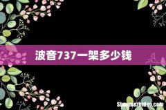 波音737一架多少钱