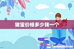 猪宝价格多少钱一个