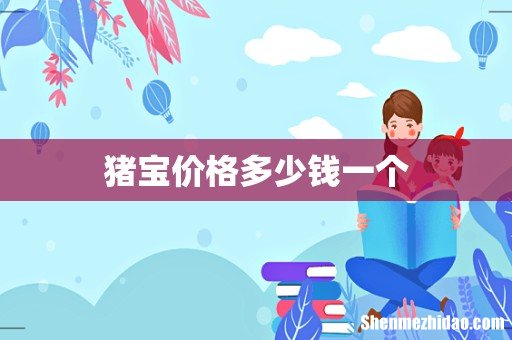 猪宝价格多少钱一个