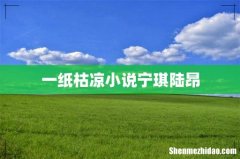 一纸枯凉小说宁琪陆昂