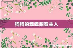 狗狗的魂魄跟着主人
