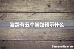 猪蹄有五个脚趾预示什么