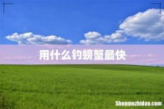 用什么钓螃蟹最快