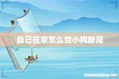 自己在家怎么给小狗断尾