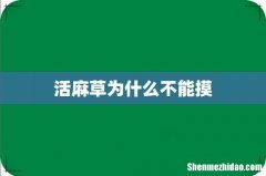 活麻草为什么不能摸