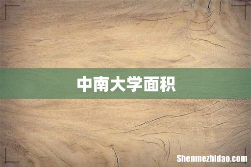 中南大学面积