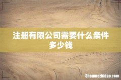 注册有限公司需要什么条件多少钱