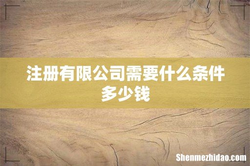 注册有限公司需要什么条件多少钱