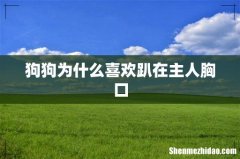 狗狗为什么喜欢趴在主人胸口