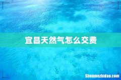 宜昌天然气怎么交费
