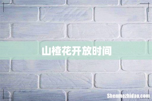 山楂花开放时间