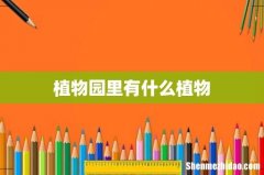 植物园里有什么植物