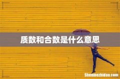 质数和合数是什么意思