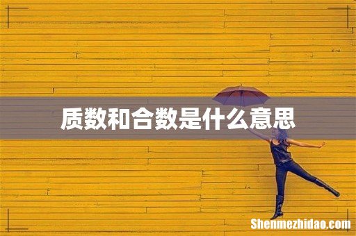 质数和合数是什么意思