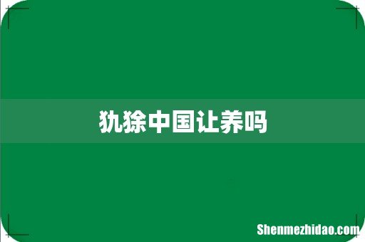 犰狳中国让养吗
