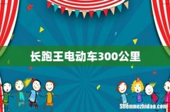 长跑王电动车300公里