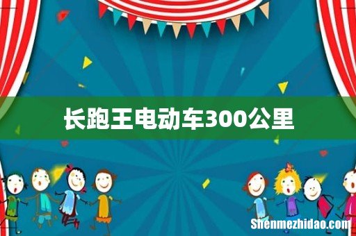 长跑王电动车300公里