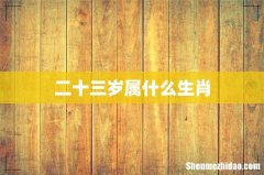 二十三岁属什么生肖