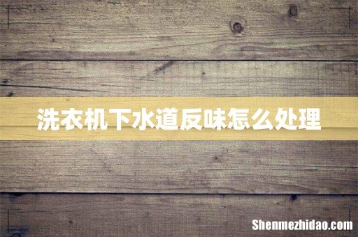 洗衣机下水道反味怎么处理