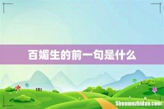 百媚生的前一句是什么