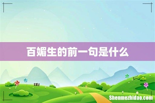 百媚生的前一句是什么
