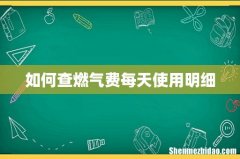 如何查燃气费每天使用明细