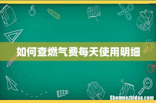 如何查燃气费每天使用明细
