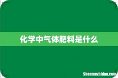 化学中气体肥料是什么