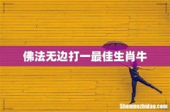 佛法无边打一最佳生肖牛