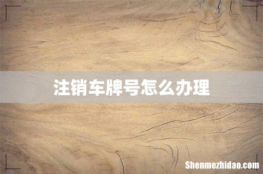 注销车牌号怎么办理