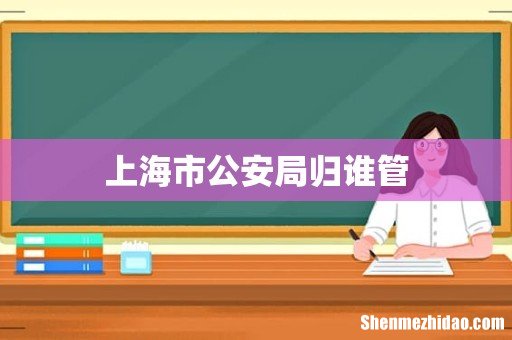 上海市公安局归谁管