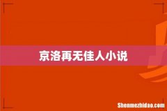 京洛再无佳人小说