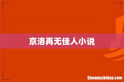 京洛再无佳人小说