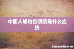 中国人琥珀色眼睛是什么血统