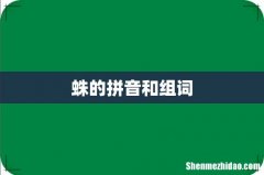 蛛的拼音和组词