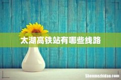 太湖高铁站有哪些线路