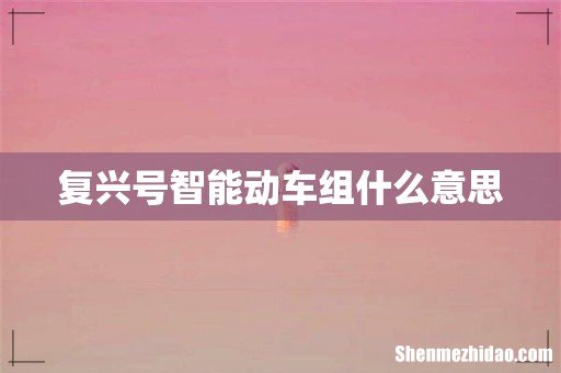 复兴号智能动车组什么意思