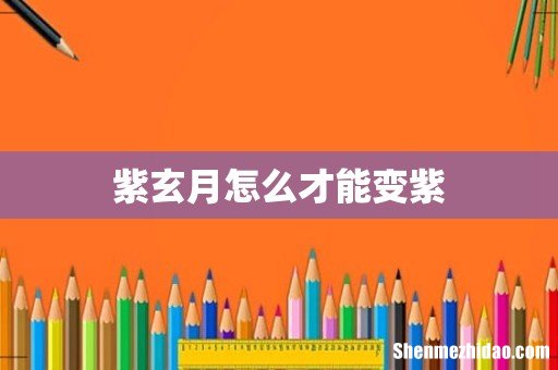 紫玄月怎么才能变紫